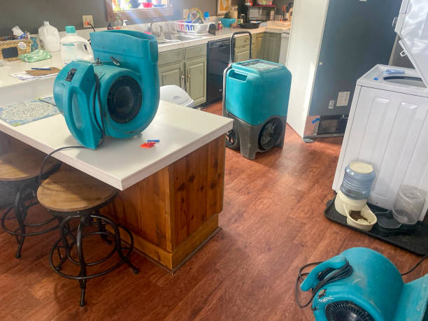 Best Water damage restoration specialists  in Crescent, OK