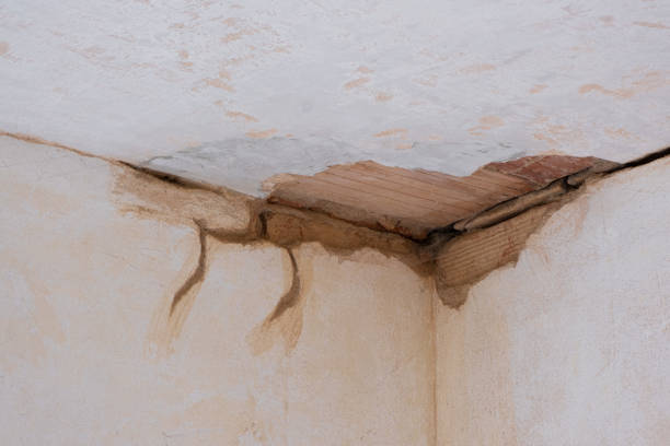 Best Mold removal after water damage  in Crescent, OK