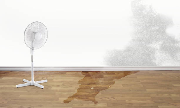Best Sewage cleanup and water damage restoration  in Crescent, OK